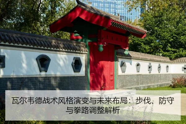 瓦尔韦德战术风格演变与未来布局：步伐、防守与拳路调整解析