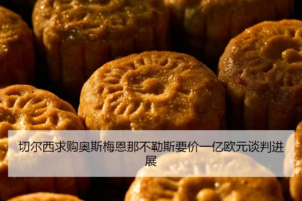qie-er-xi-qiu-gou-ao-si-mei-en-na-bu-le-si-yao-jia-yi-yi-ou-yuan-tan-pan-jin-zhan-3-923.jpg