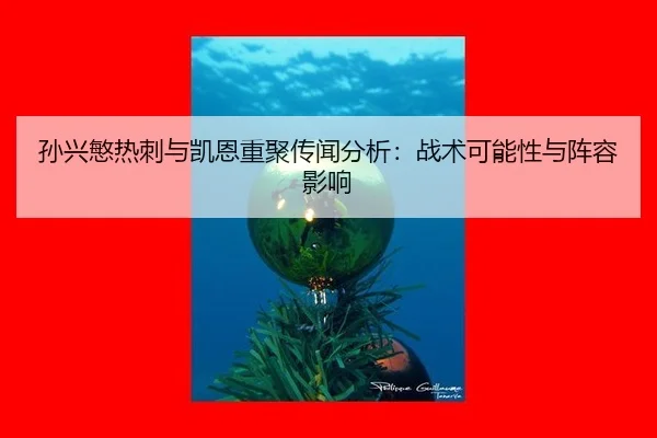 sun-xing-min-re-ci-yu-kai-en-chong-ju-chuan-wen-fen-xi-zhan-shu-ke-neng-xing-yu-zhen-rong-ying-xiang-3-723.jpg